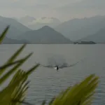 Luina